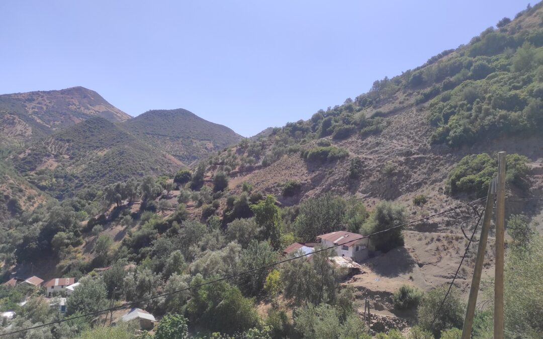زيارة للطريق المؤدية لدوار العزيب