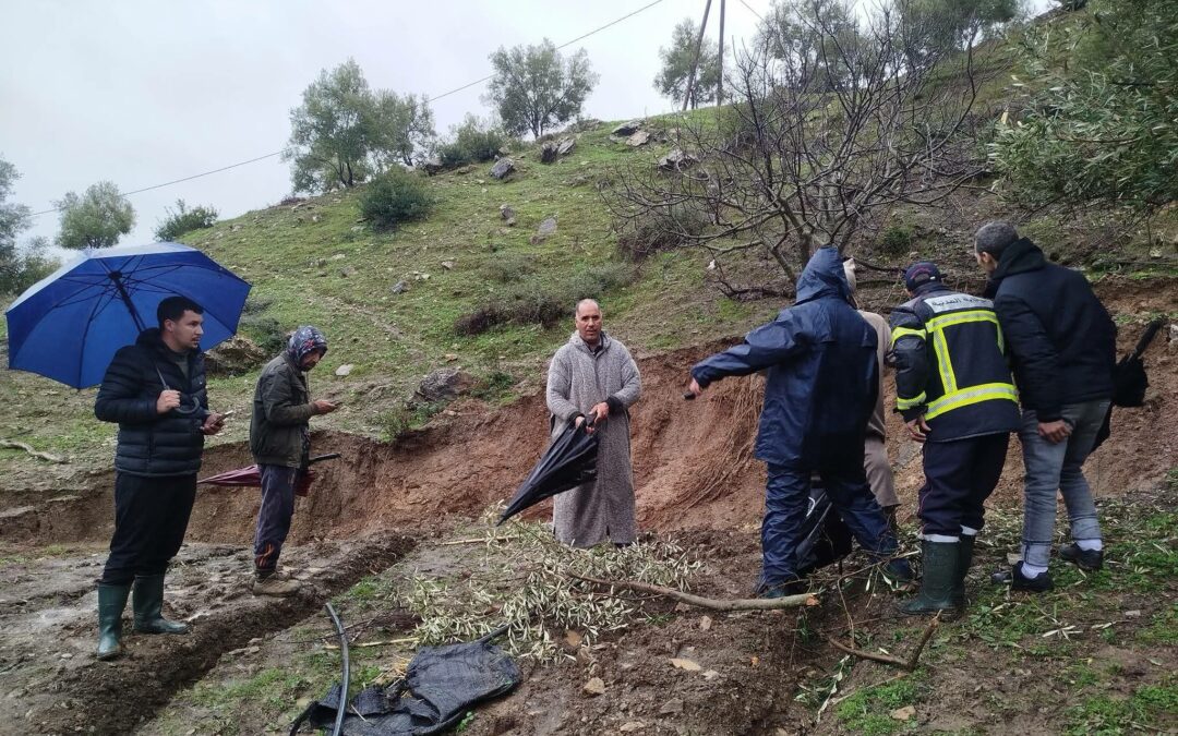 زيارة تفقدية