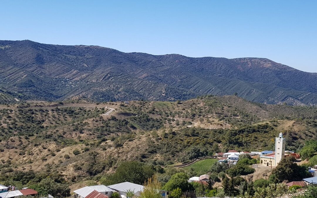 La diversité des ressources naturelles à Moqrissat est un élément clé pour revitaliser et promouvoir le tourisme de montagne dans la région